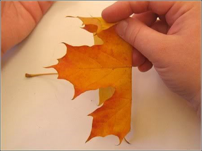 Kh&ocirc;ng c&oacute; m&ugrave;a thu